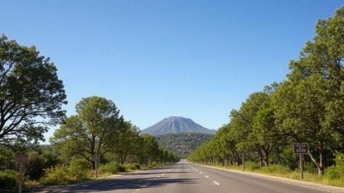 Caminho para a Independência Financeira